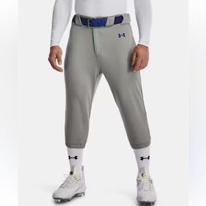 NWT!  Men’s UA men’s  Gray baseball Pants with Navy stripe, size small